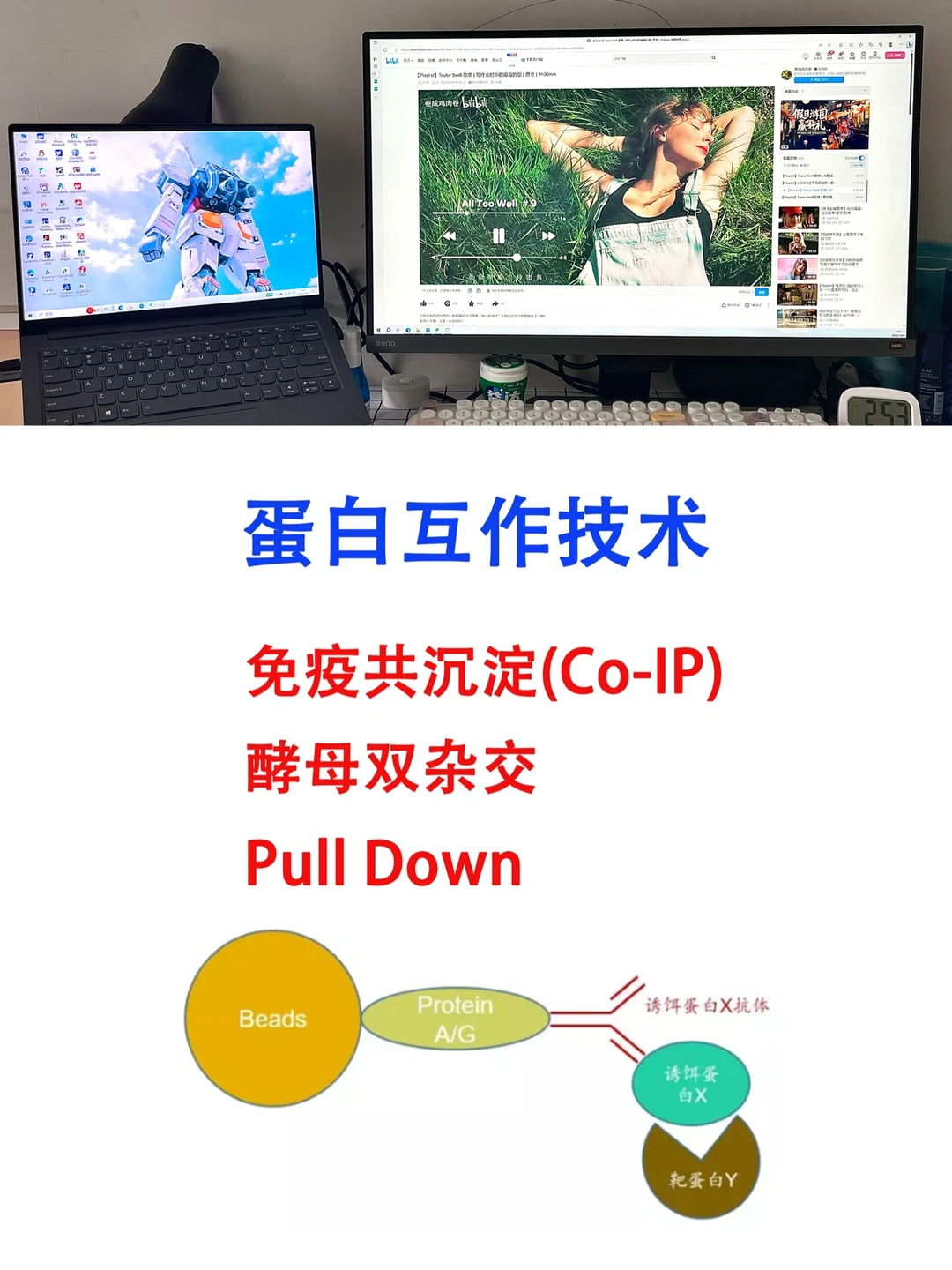 导师以为你会但不一定教你的｜蛋白互作技术