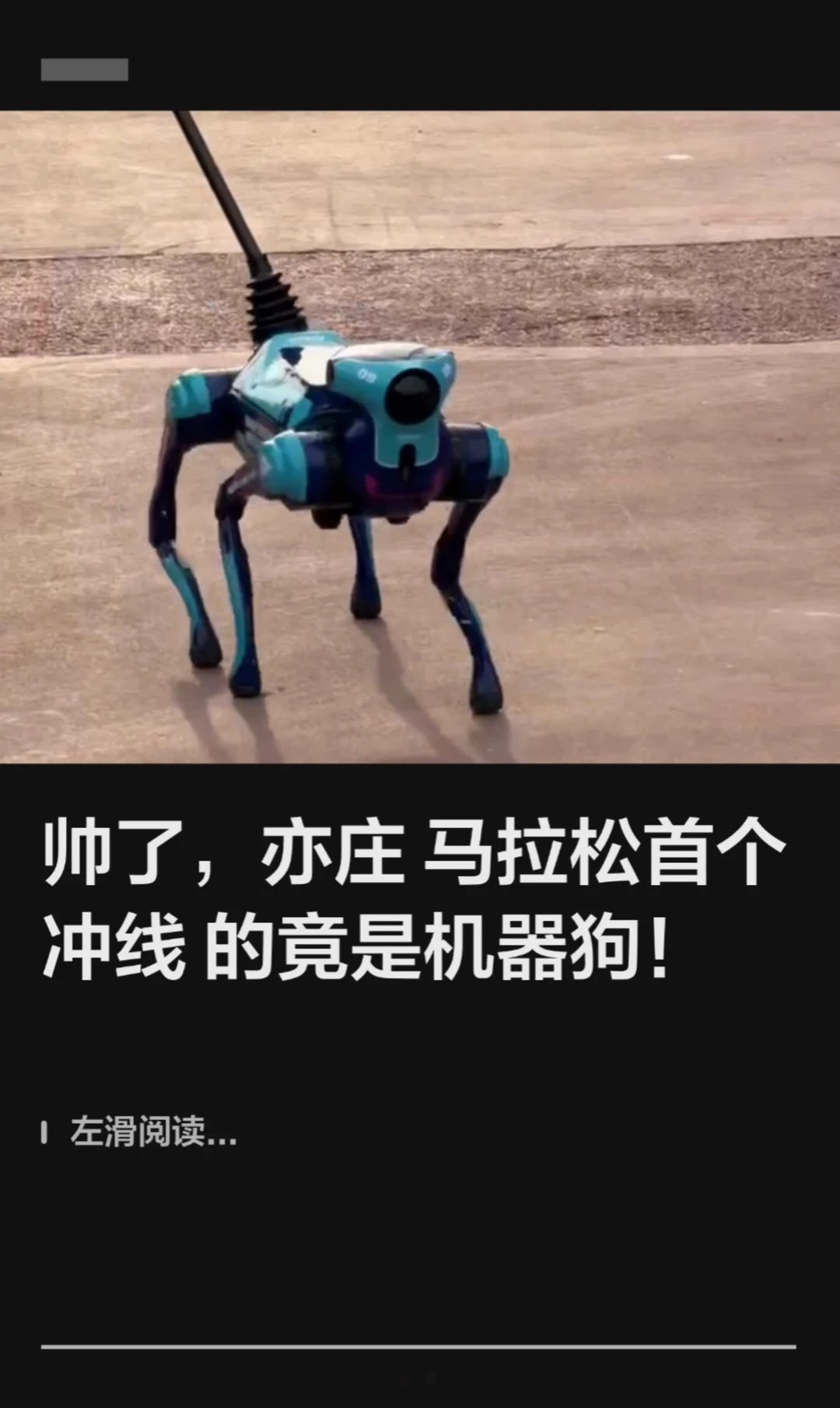 帅了，亦庄马拉松首个冲线的竟是机器狗！