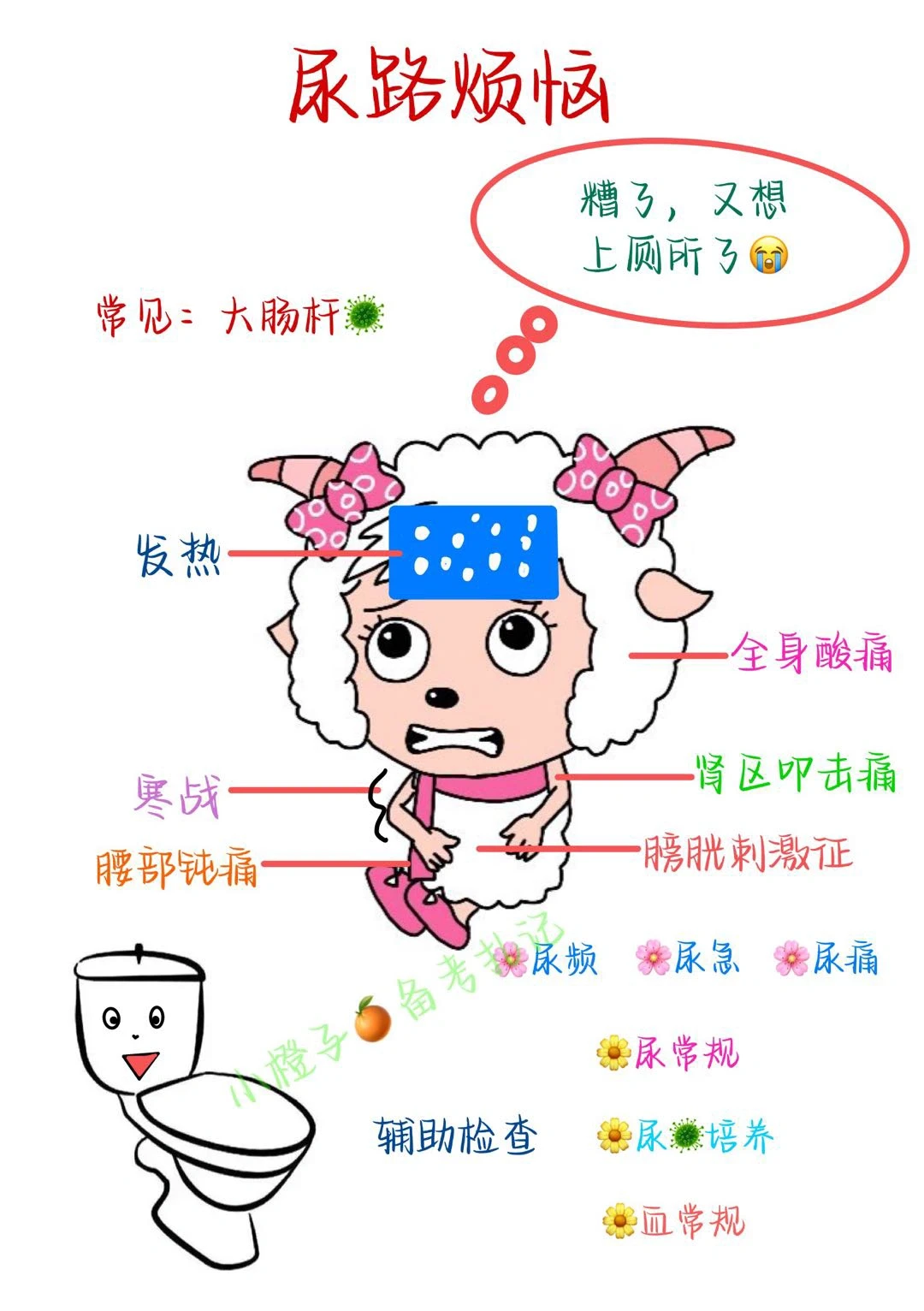 📖尿路烦恼｜女生必看知识🧐