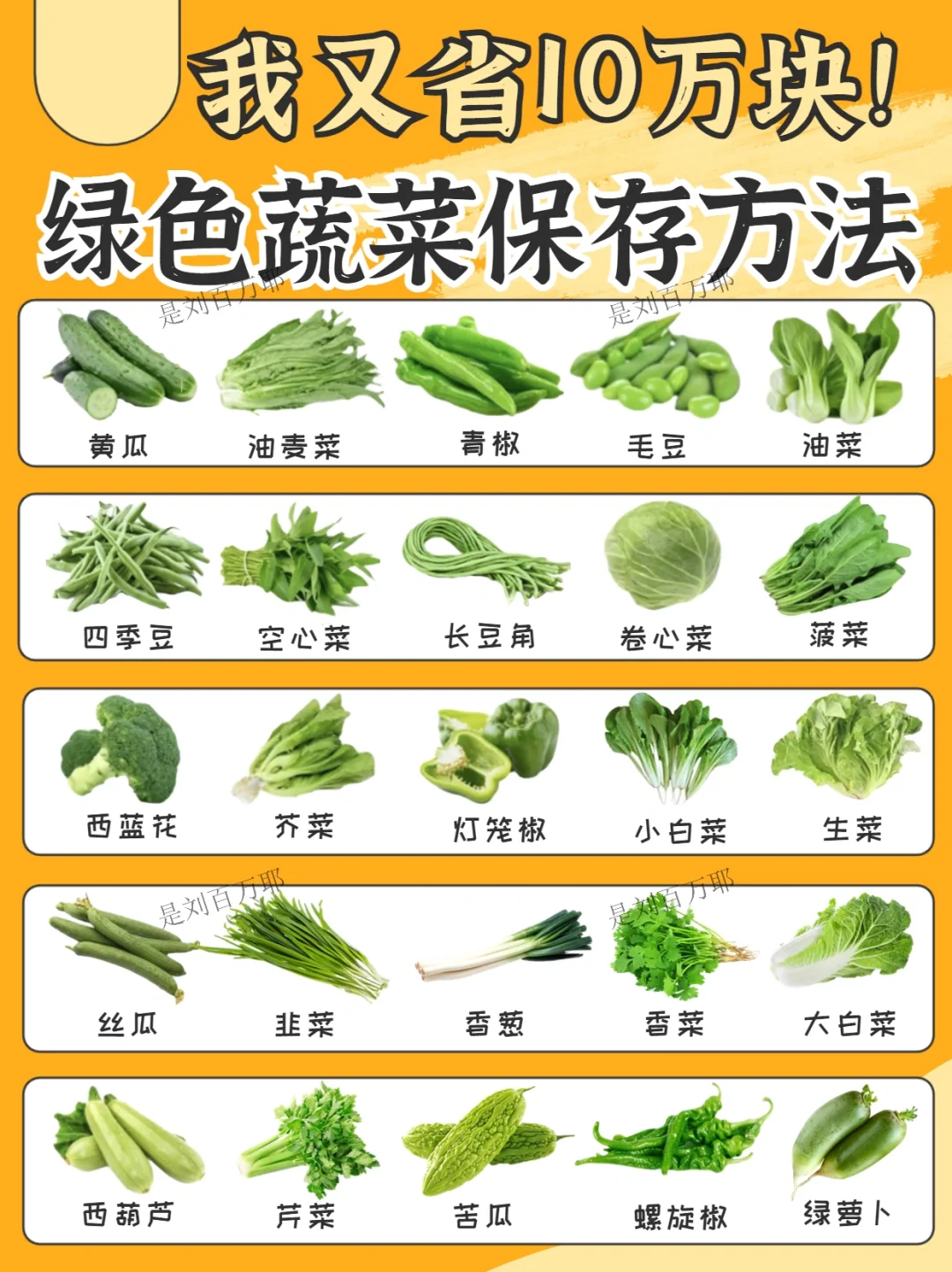 2⃣️5⃣️种绿色蔬菜冰箱保存技巧🔥干货科普✅