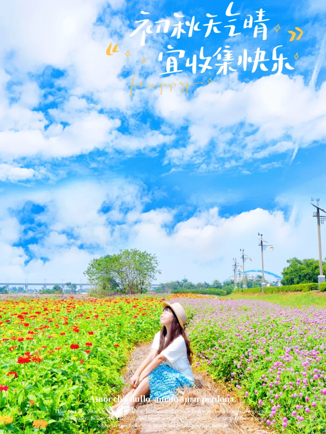 广佛游🚲 骑行贤鲁岛，遇见初见的美好