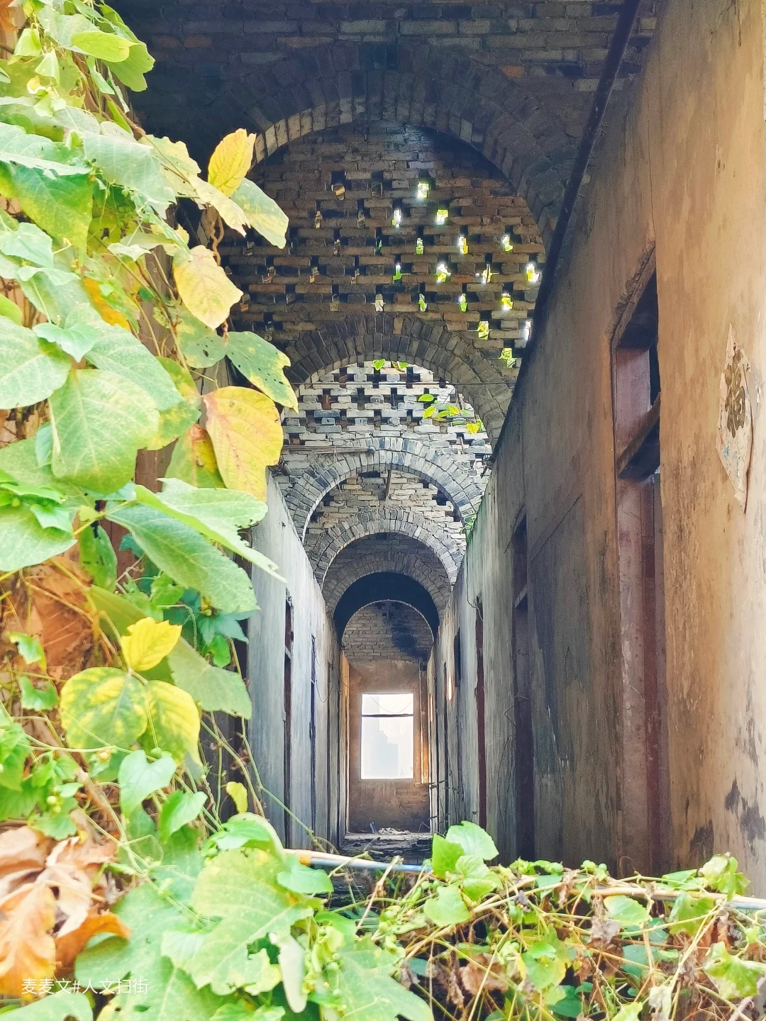 【长寿】蔓藤爬满青砖墙，时光慢步拱顶廊