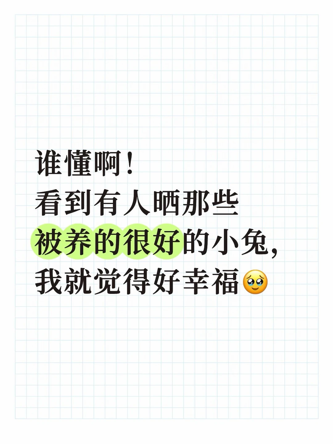 兔值得啊/兔的美好人知道
