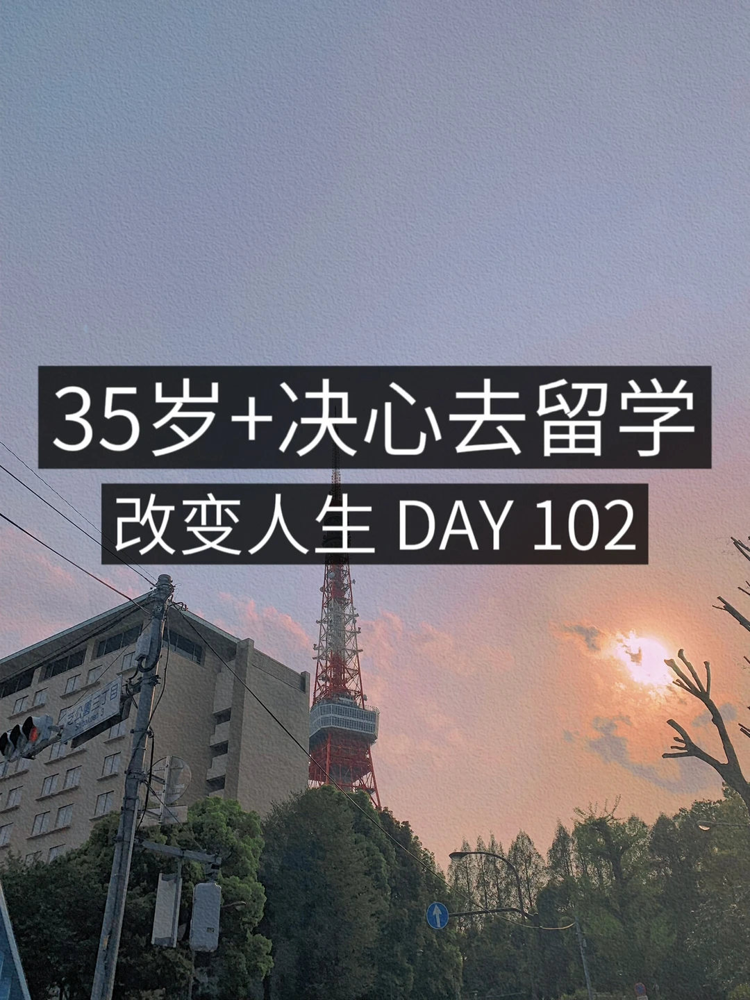 35岁+女青年留学✈️ 整了一晚上行李🧳