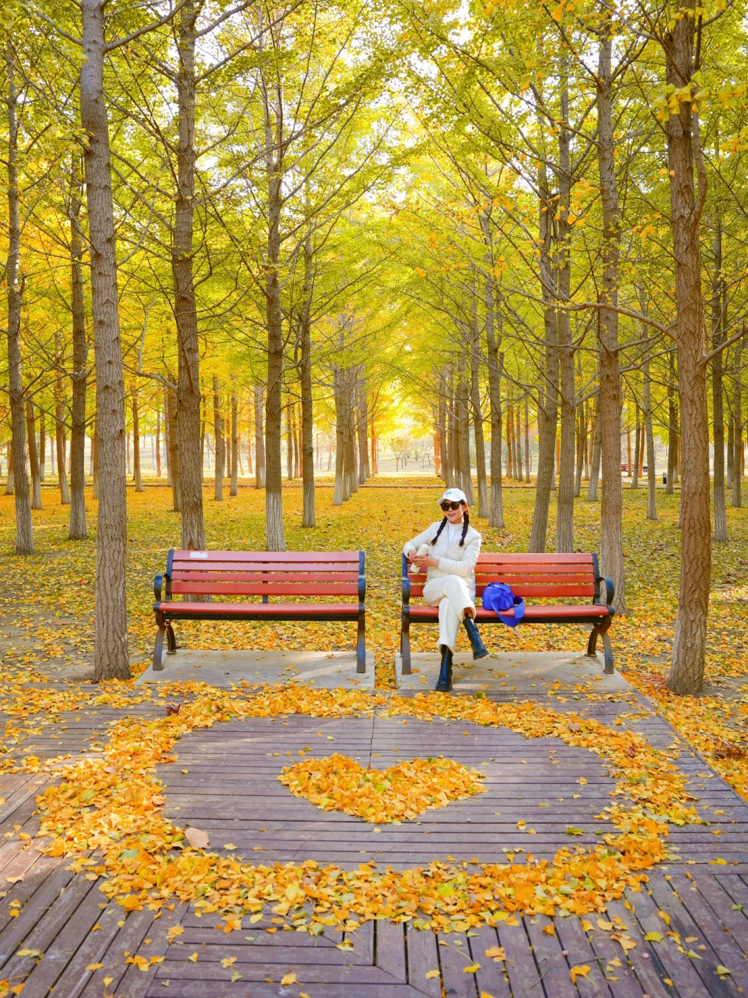 11.6北京人少免费的小众银杏林，美哭了❗️