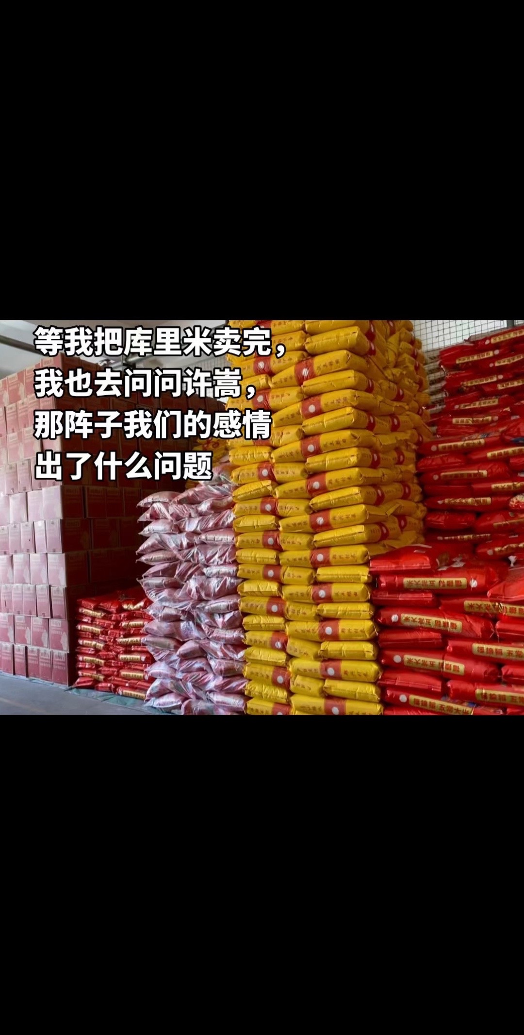还想问问林俊杰，为什么能背对背拥抱  大米批发仓库 大米我们只选择质量好的 许嵩