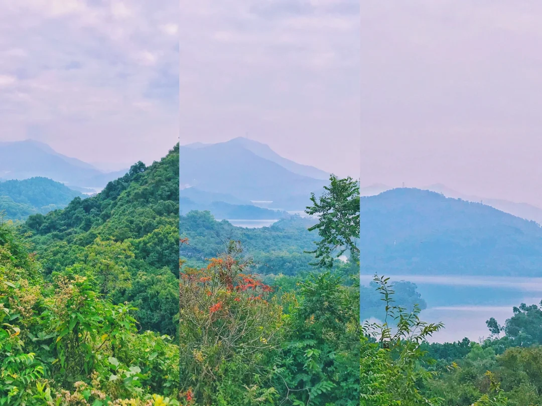 淘金山绿道徒步