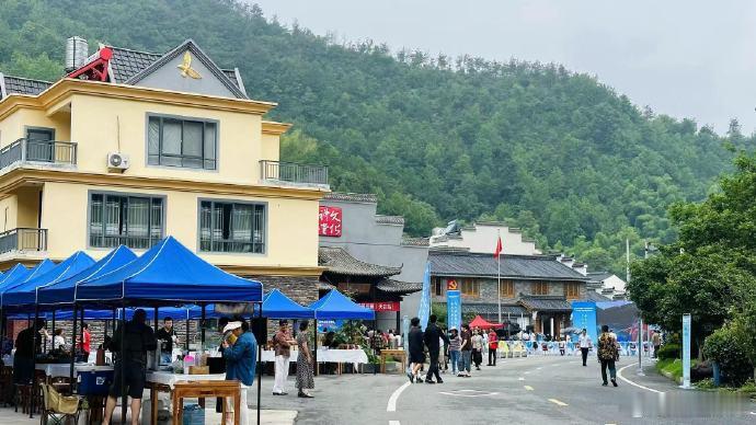 早在2018年就打破村界搞49个片区组团，天台其实是提前回答了"乡村如...