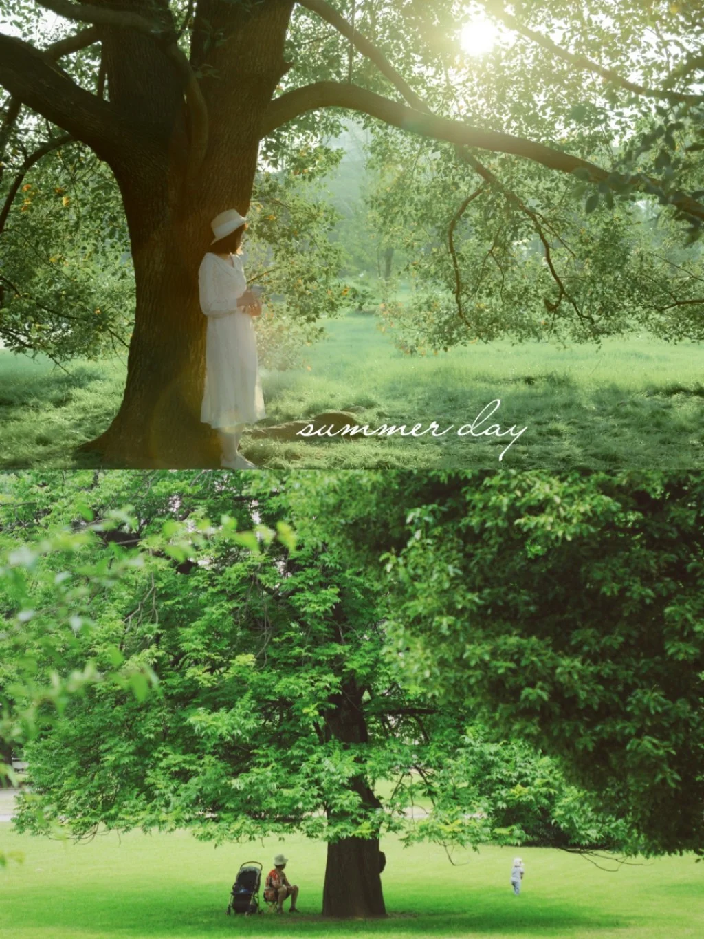 武大的夏天，也太好拍太神仙了吧！！