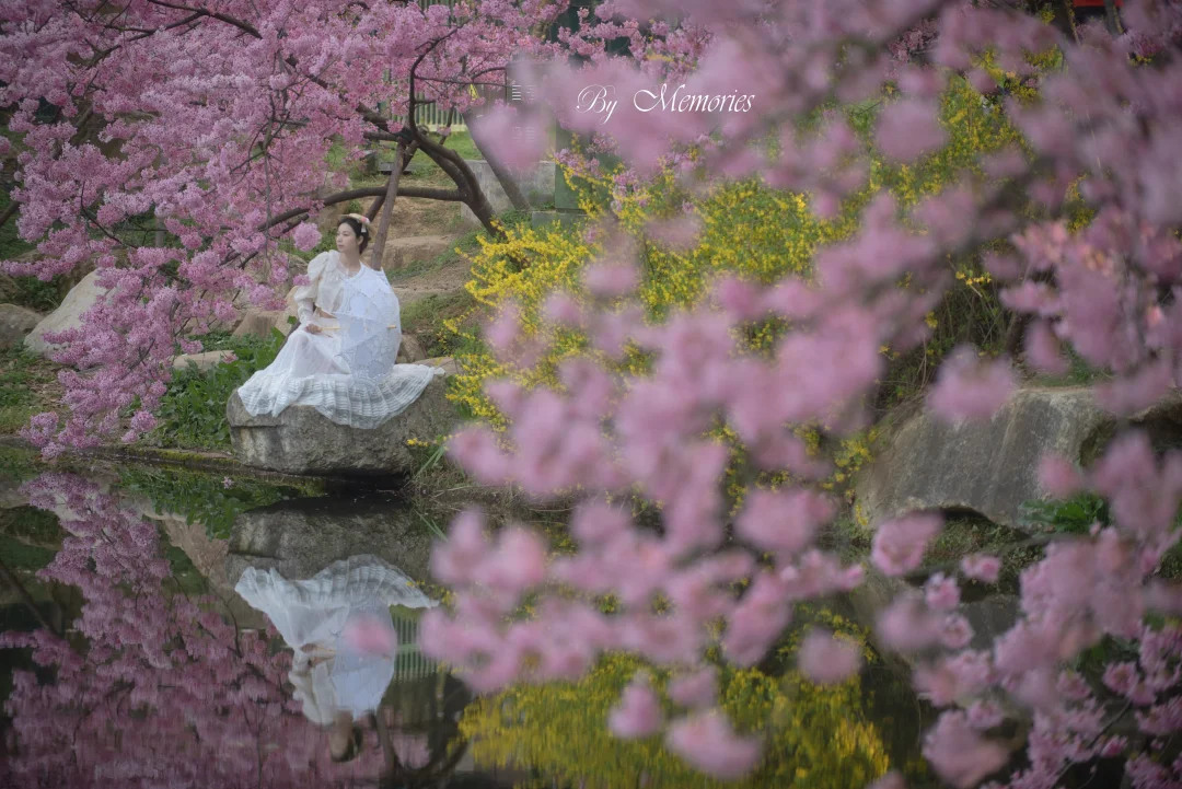 14号武汉东湖樱园早樱开了🌸冲冲冲