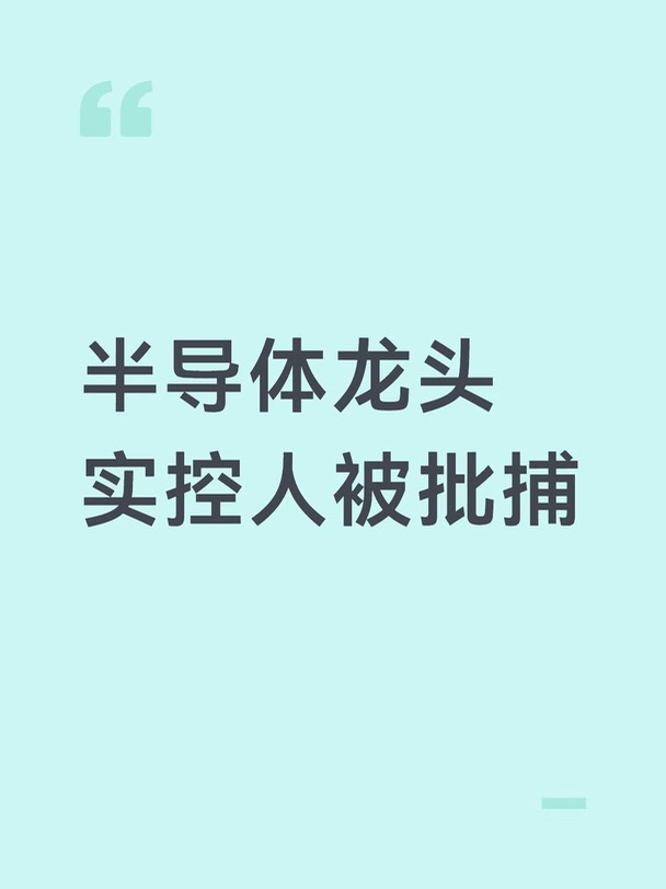 半导体龙头实控人被批捕