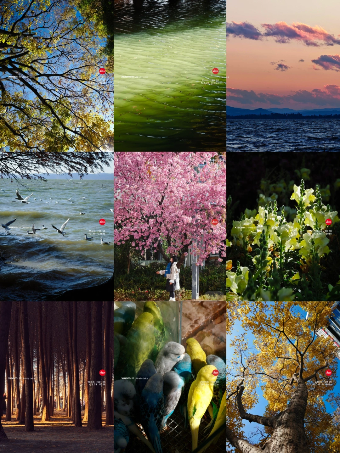 冬日的昆明打翻了调色盘！