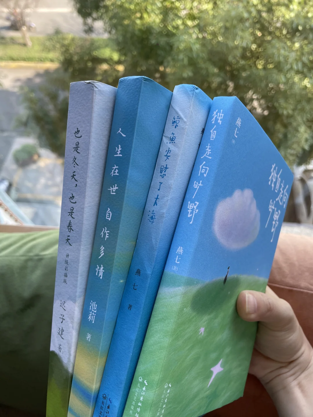 秋日治愈书单合集🍁每一本都好爱啊！！