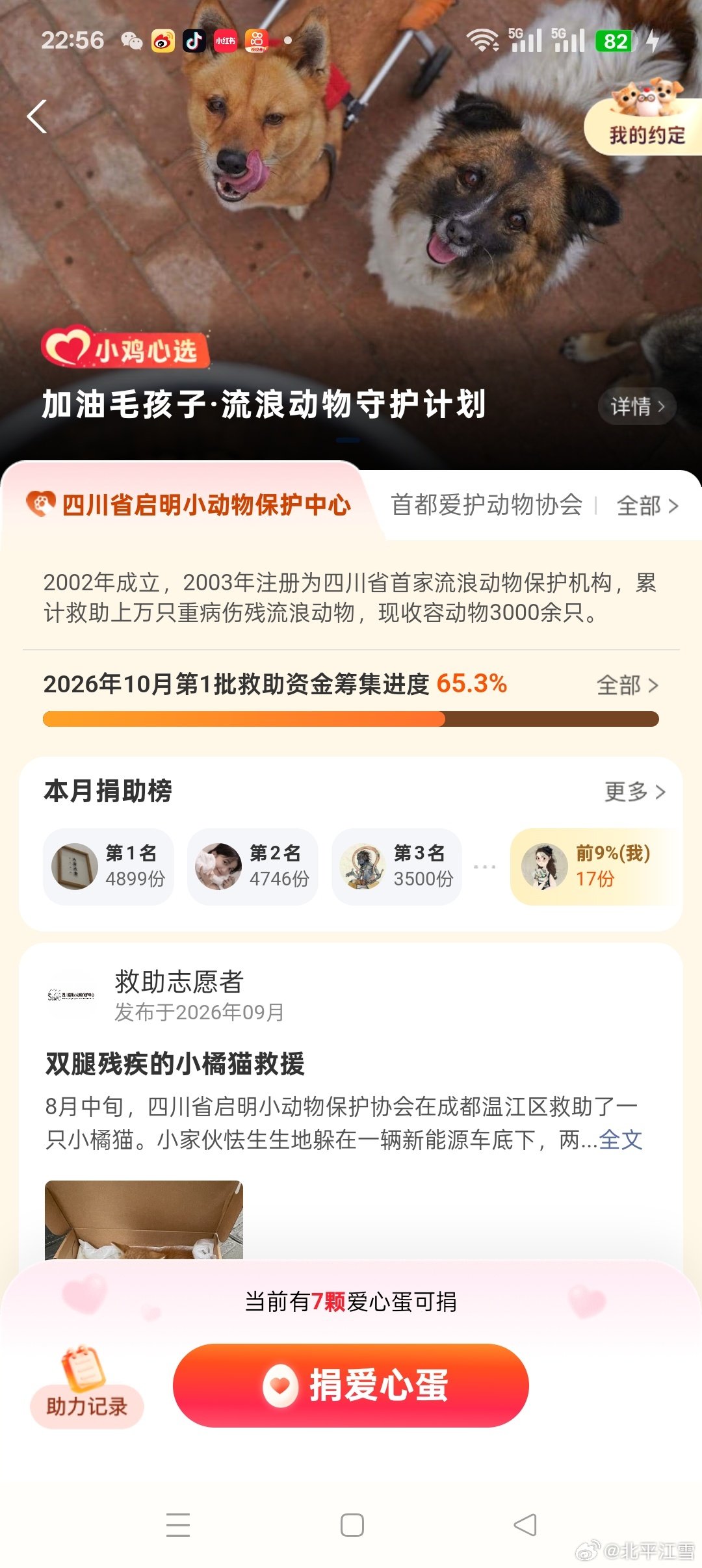 #救助流浪动物##支付宝[超话]##领养代替购买##为动物发声[超话]##狗狗[超话]##猫咪[超话]##猫咪领养[超话]##狗狗[超话]#支付宝蚂蚁庄园免费喂养小鸡免费捐蛋救助流浪动物啦，你的举手之劳就可以改变它们悲惨的命运 ​