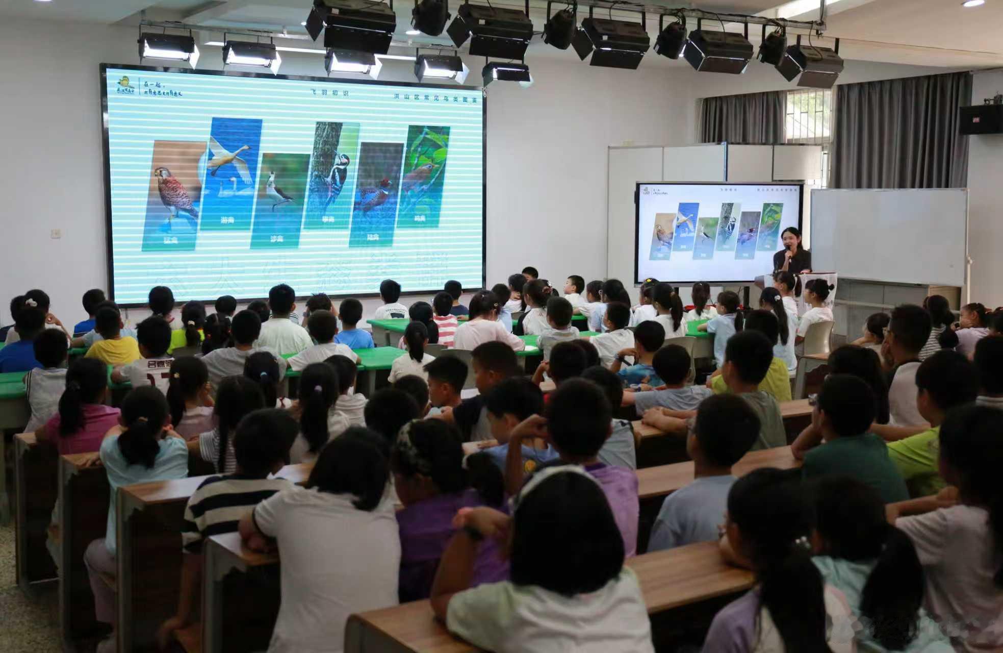 9月15日，一场别开生面的“认识身边飞羽，守护大美洪山”鸟类科普讲座在华中农业大学附属小学欢乐开讲。本次活动由武汉市洪山区城市管理执法局（园林局）联合武汉市观鸟协会精心策划，作为2026年“爱鸟护飞·大美洪山”系列主题活动的首站，在孩子们心中种下了爱鸟护鸟的“绿色种子”。
该系列活动自9月 ​
