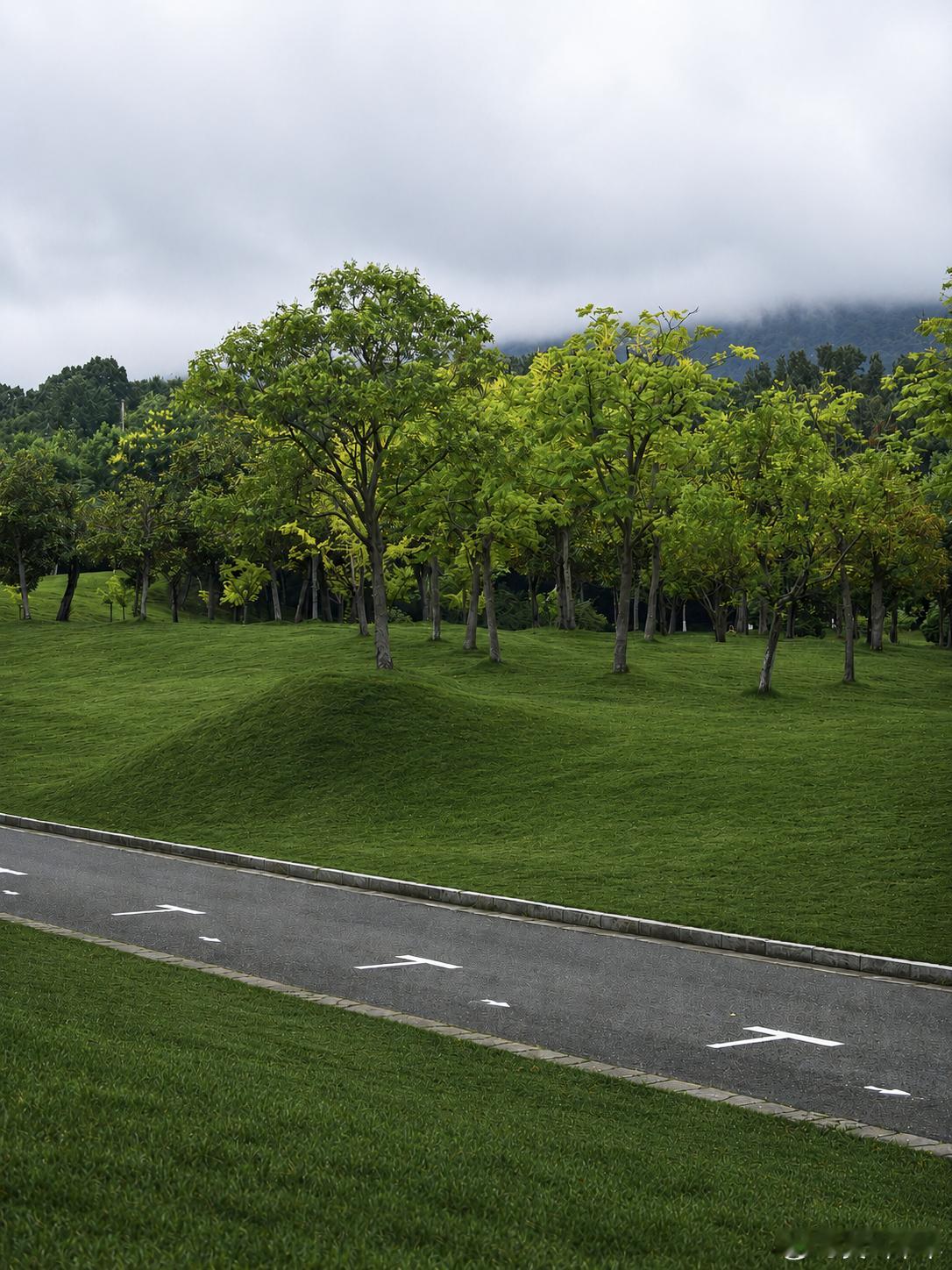 南京的初秋，都是从一场场雨开始变得温柔
这几天受台风影响，连着下了几场雨
雨水带走了夏末最后一点燥热

早晨开车路过体育公园
放下车窗，发现钟山笼在一层朦胧的雾气里
远山若隐若现，深深浅浅的绿，在雾里铺开
雾里的灵谷塔，也多了几分神秘
山坡上那棵孤独的树格外显眼，安静得像一位诗人

一阵风 ​