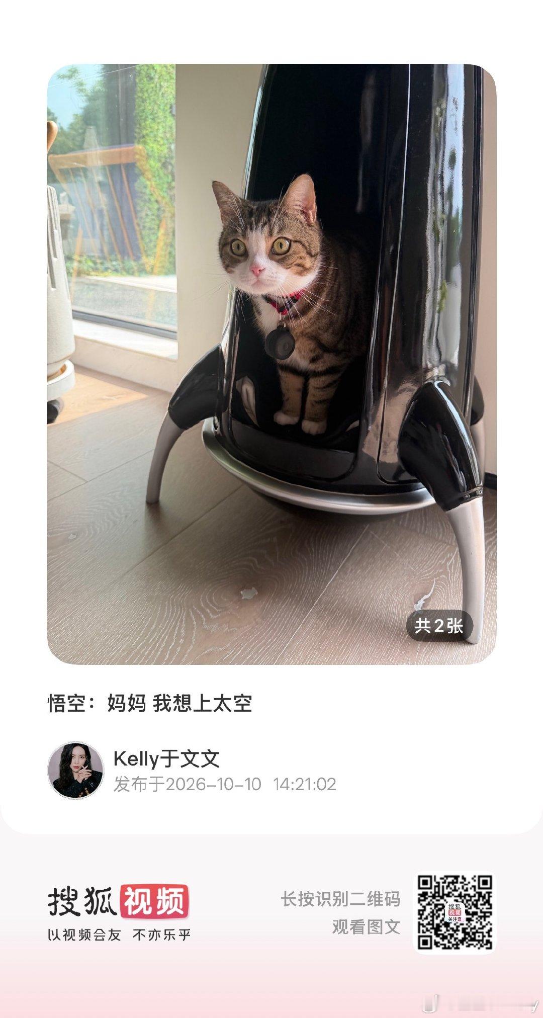 悟空：妈妈 我想上太空

悟空 你要上天呐………[二哈] ​