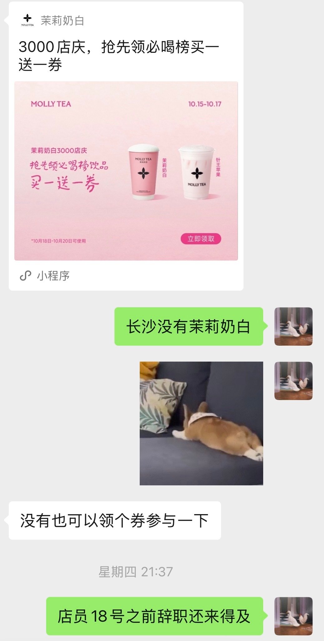 #茉莉奶白爆单店员劝退消费者# 茉莉奶白这次跟着霸王茶姬也是复刻成功了[doge]

当时就预言了店员跑路的最后机会，希望真的开启奶茶买一送一大时代，去年的外卖盛世多来点儿！ ​