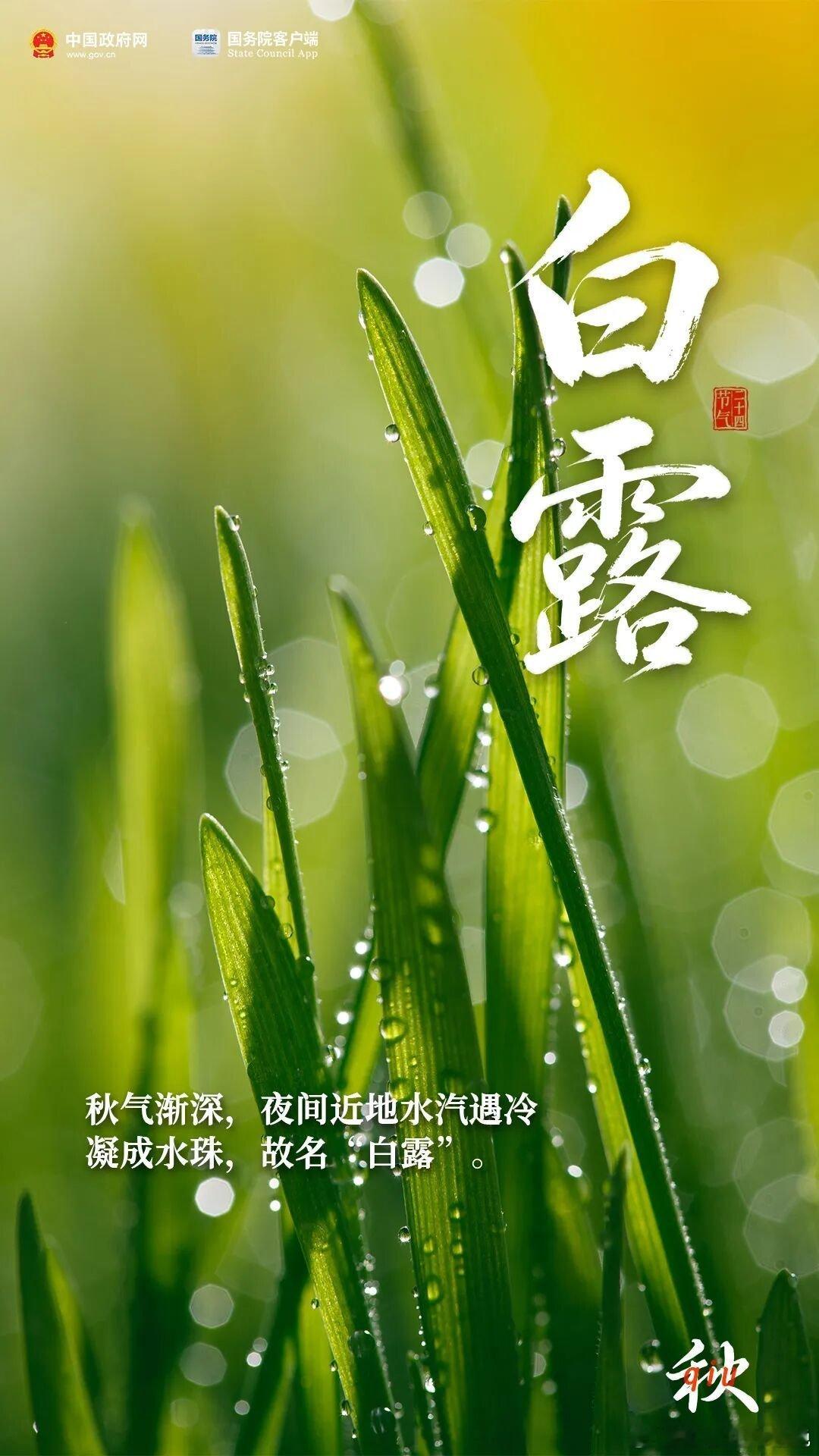白露是二十四节气中的第15个、秋季的第3个节气，于每年公历9月7日至9日交节，标志着孟秋结束、仲秋正式开启。  一、节气含义与物候- 命名由来：古人以四时配五行，秋属金，金色白，故以“白”形容秋露，称