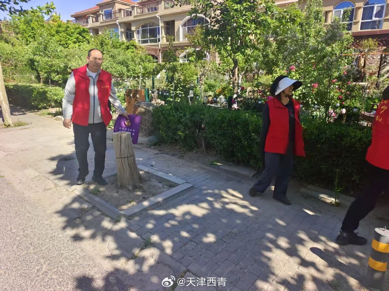 【靶向协商聚合力 小区焕新暖民心】#工作动态# 走进博雅苑，环境整洁有序、设施运行完好、邻里和睦融洽，小区面貌发生了实实在在的可喜变化。作为大寺镇博文苑社区2026年书记项目——定制化靶向协商议事的重要实践载体，博雅苑物管会坚持“社区引领、物管牵头、物业落实、居民参与”的共治思路，摒弃单 ​