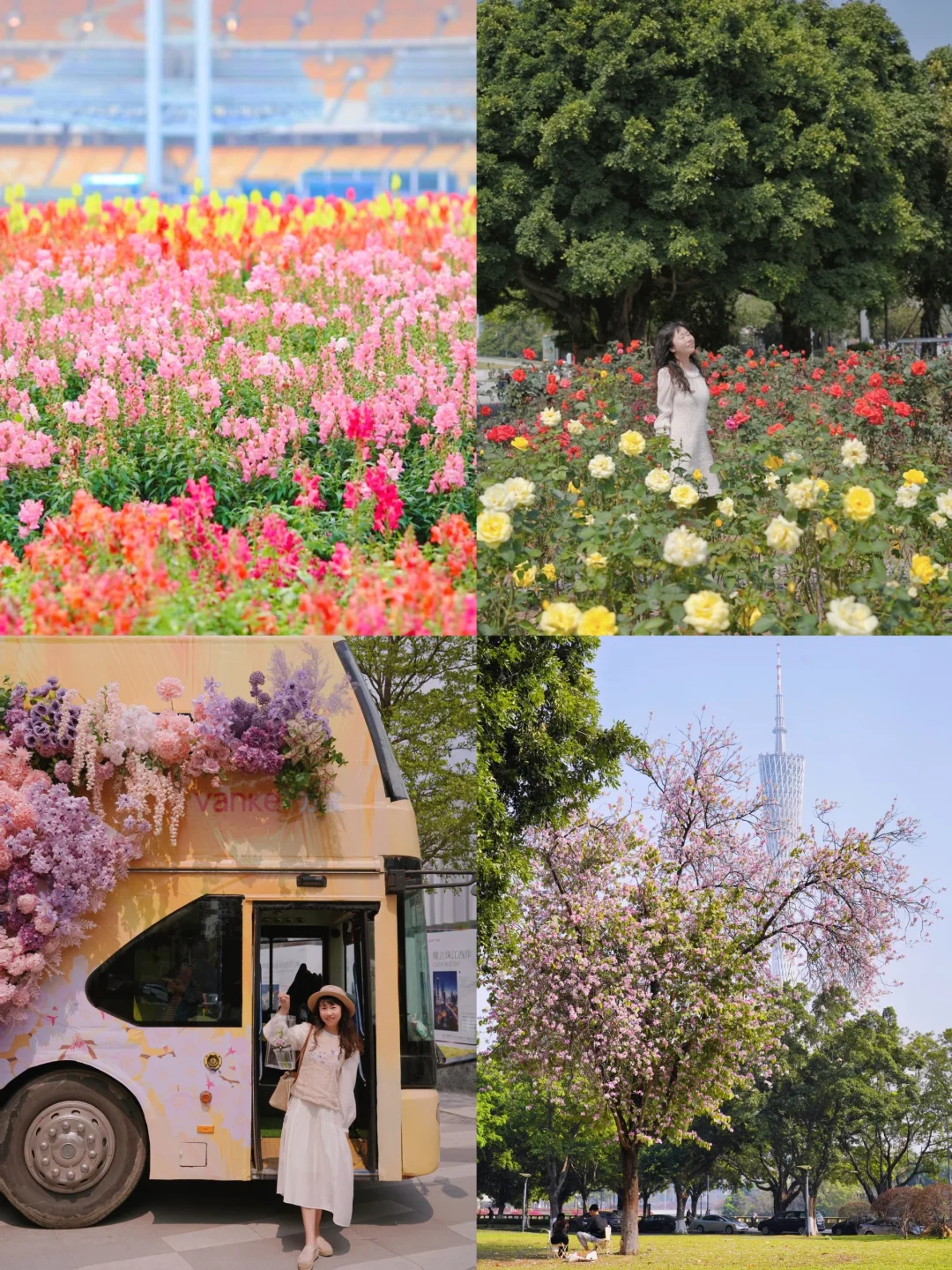 独属广州的浪漫🌼坐上巴士去旅行！