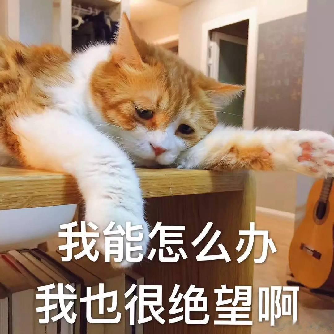#库克正式卸任苹果CEO# 苹果终于结束了被厨子霍霍的时代，但会不会迎来一个被那个不知道谁毁灭的时代呢？[笑而不语][笑而不语][笑而不语][笑而不语] ​