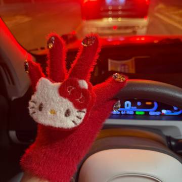 和你们这些有方向盘加热的人说不清楚<span class="url-i...