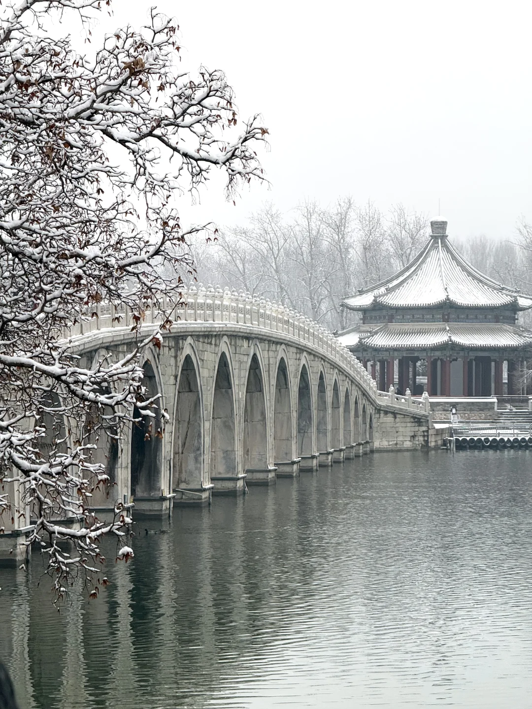 3.5 live📍北京颐和园！仙境在此刻具像化了！