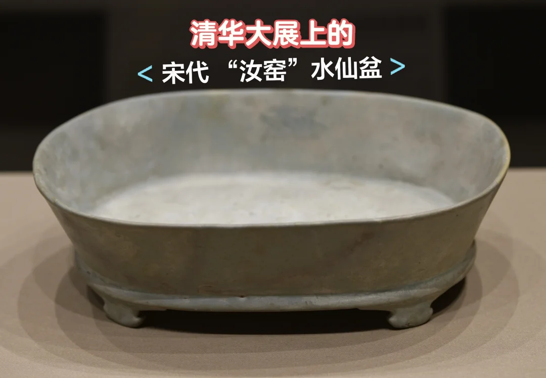 清华大展上遇到的“汝窑”水仙盆