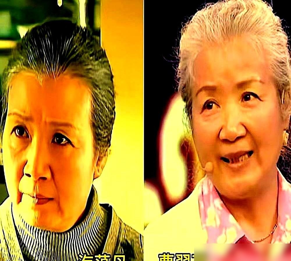 海清当年想演海藻，滕华涛就撂了一句：你不够漂亮。
这话搁现在，哪个女演员受得了？可她转头接了海萍，那个整天为房贷发愁、被生活磨得没脾气的姐姐。不讨喜，不惊艳，全是鸡零狗碎。
结果呢？海藻被骂惨了，海萍让人记了十几年。后来她演《隐入尘烟》，把自己折腾成地里刨食的农妇，手糙得跟树皮似的。记者问值不值