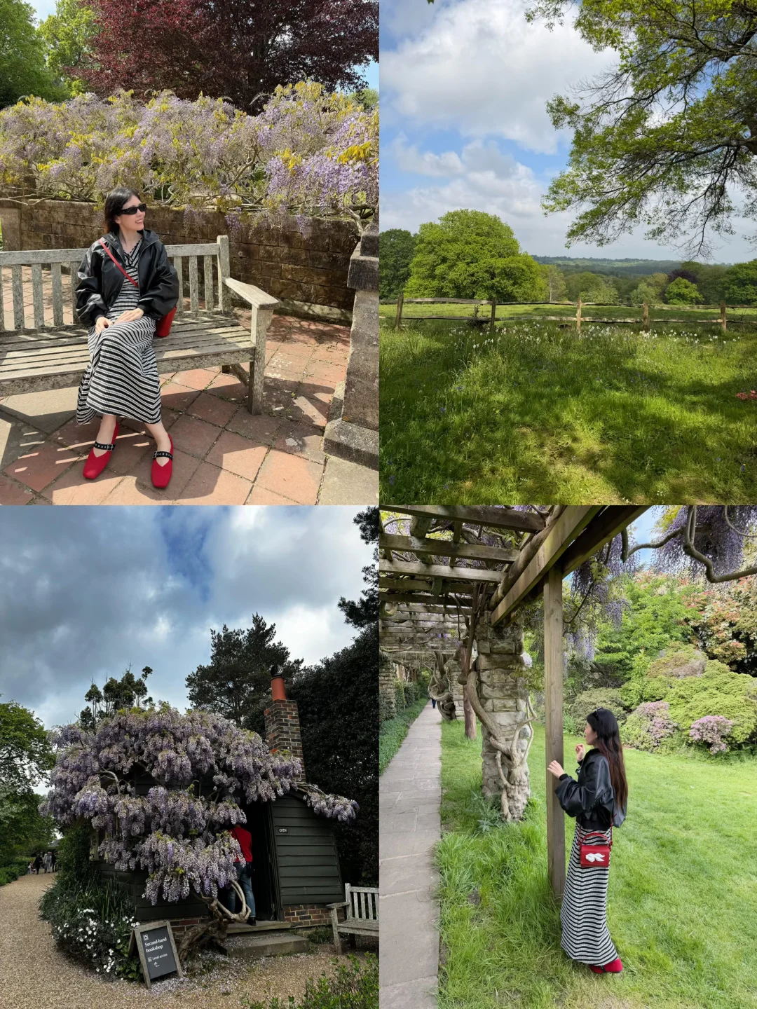 🌿伦敦周边花园Nymans紫藤花开了💜