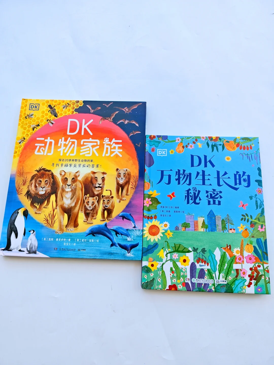 一场不容错过的自然探索盛宴