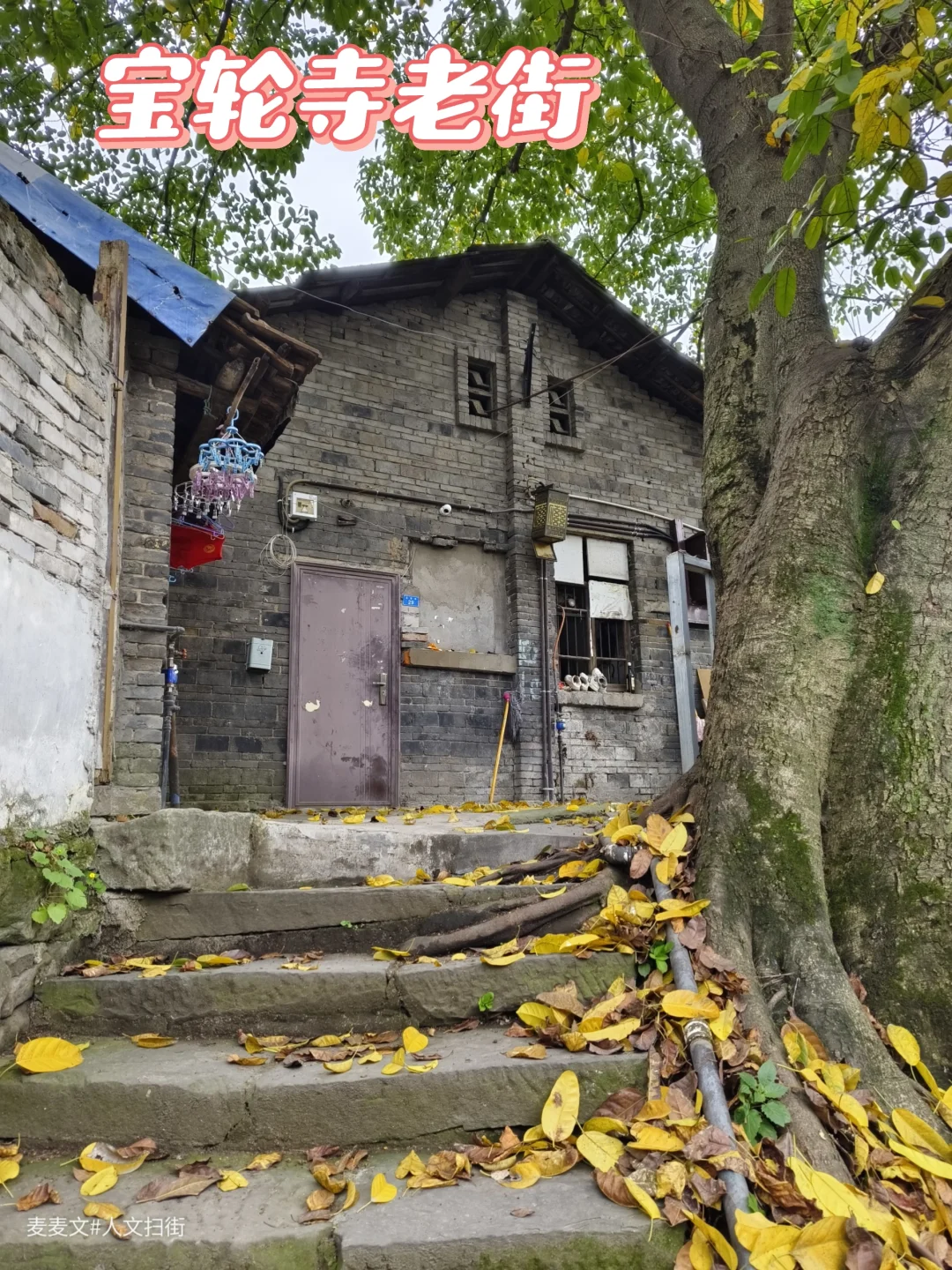 【沙坪坝】未被游客入侵的宝轮寺原始居民区