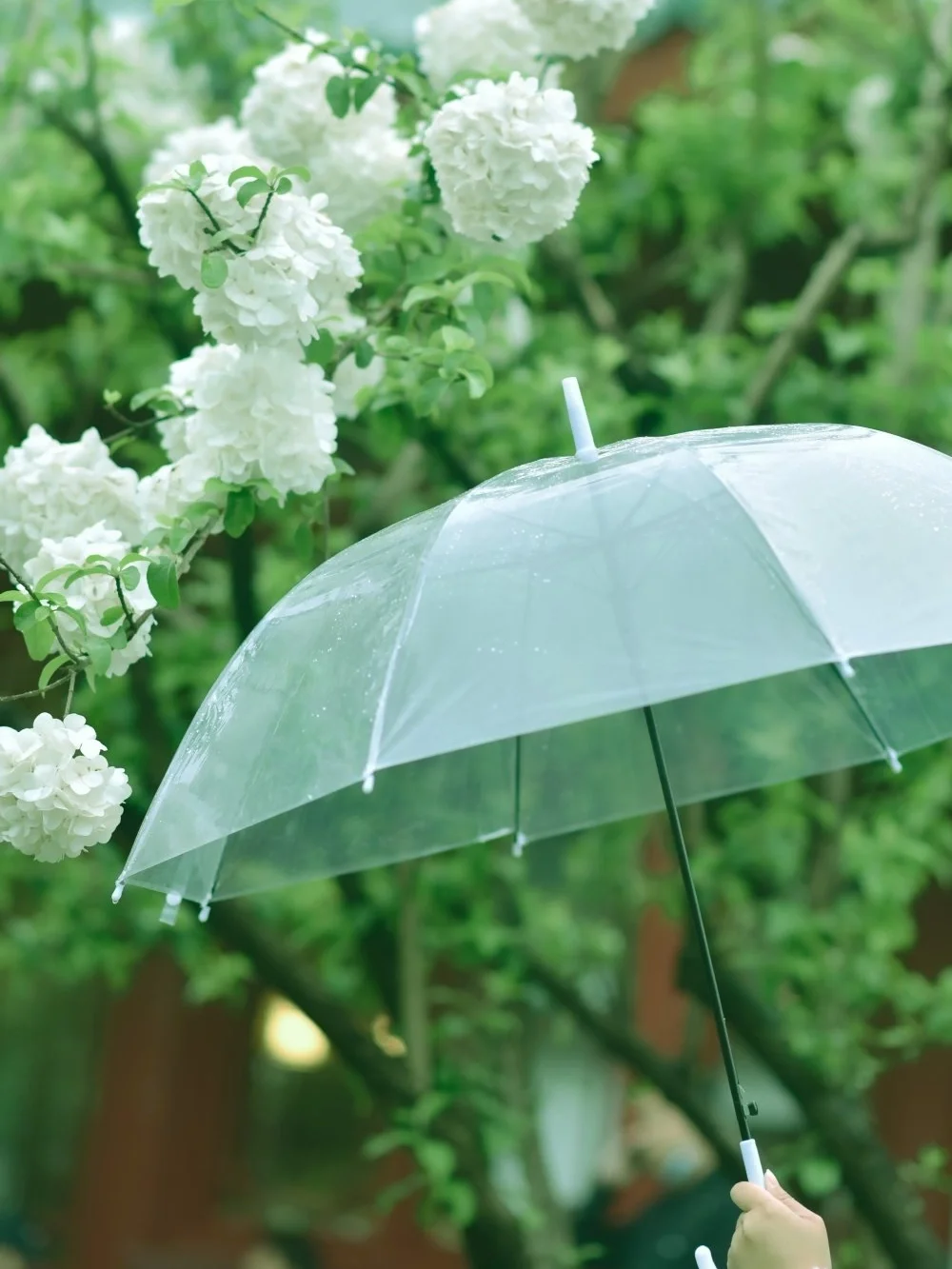 26岁拒绝年龄焦虑，我开始接受自己的不优秀