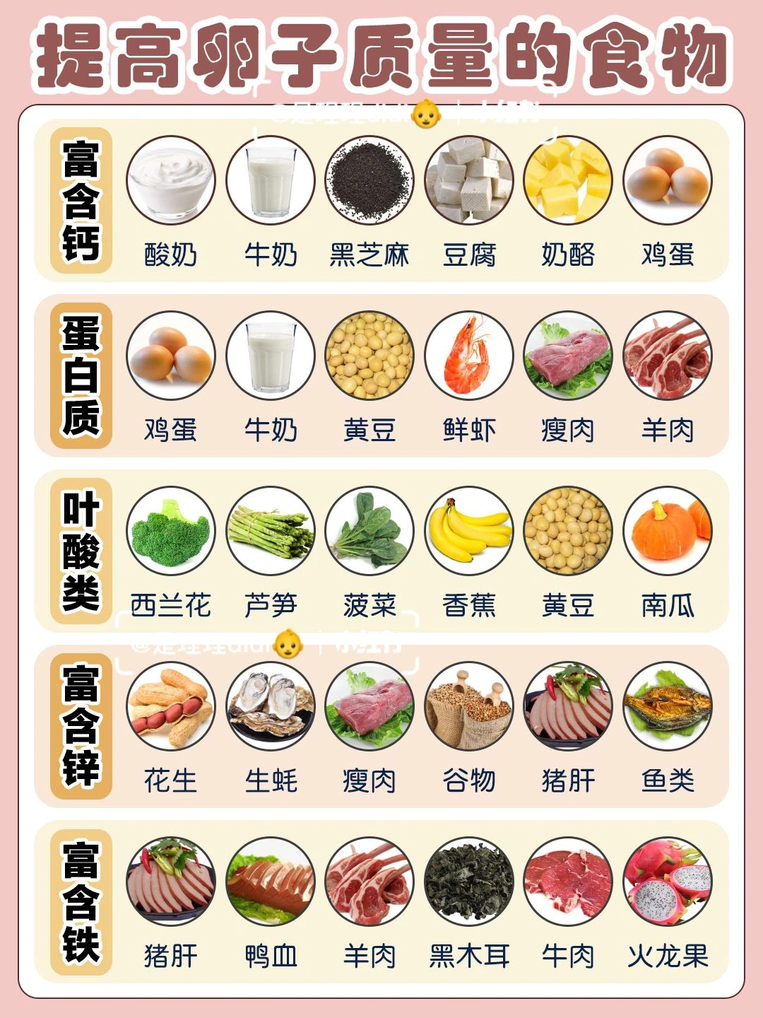 ❤️科学备孕攻略｜吃出来的优质卵子