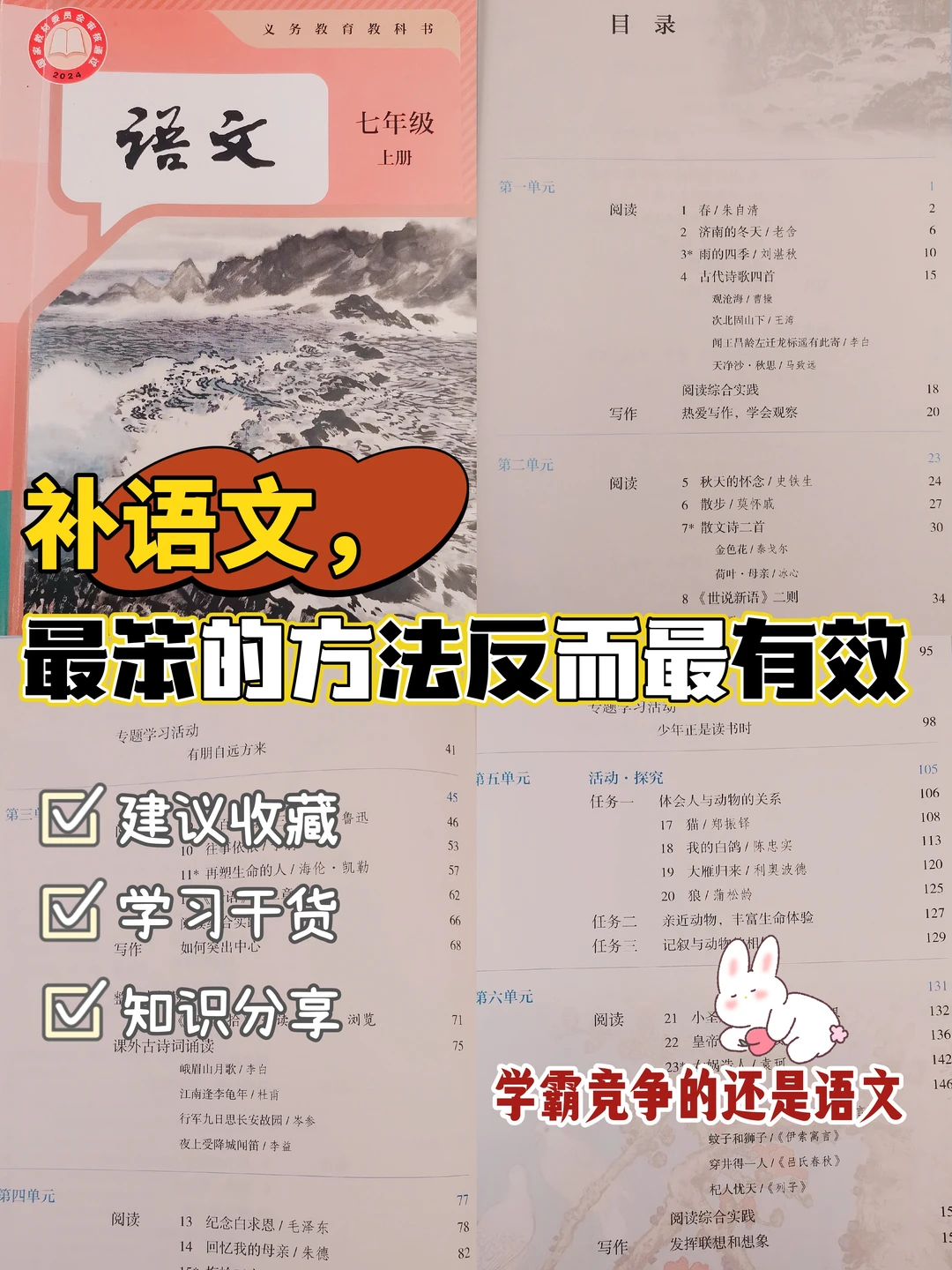 补语文，最笨的方法反而最有效💪💪💪