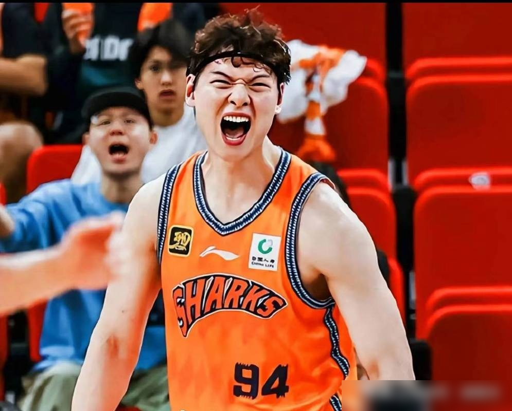 谁还说周琦是本土第一中锋？我看胡金秋第一个不服。
一份CBA本土中锋实力榜单，把周琦排在第一，胡金秋、王哲林紧随其后，瞬间炸了锅。
论防守，周琦场均9.1个篮板、1.3次盖帽，确实是内线大闸，但进攻端表现总是不稳定。
再看胡金秋，场均16.8分，本土第二，中投命中率常年接近70%，不占球权，干