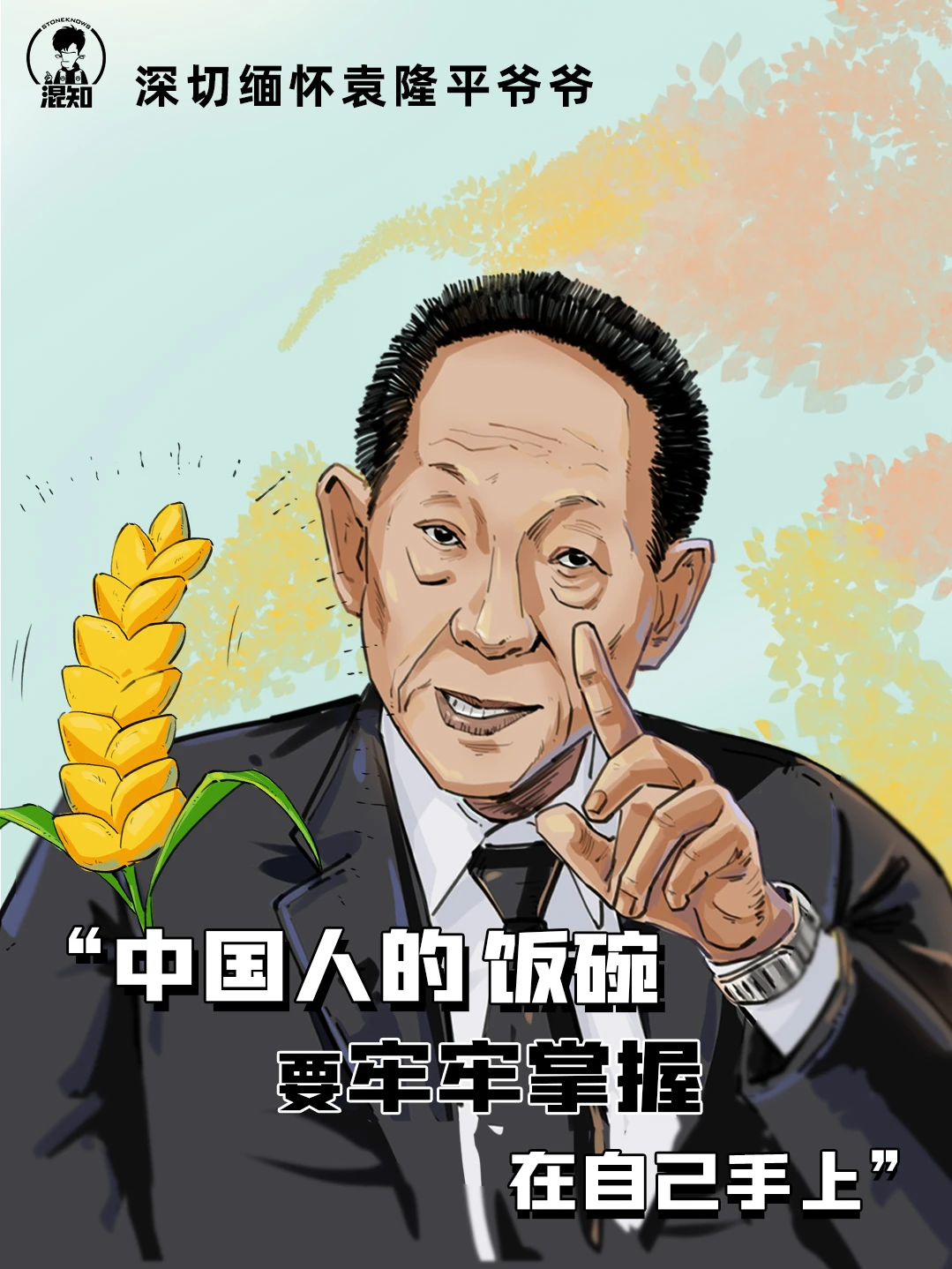 袁隆平爷爷一路走好🕯我们一定好好吃饭！