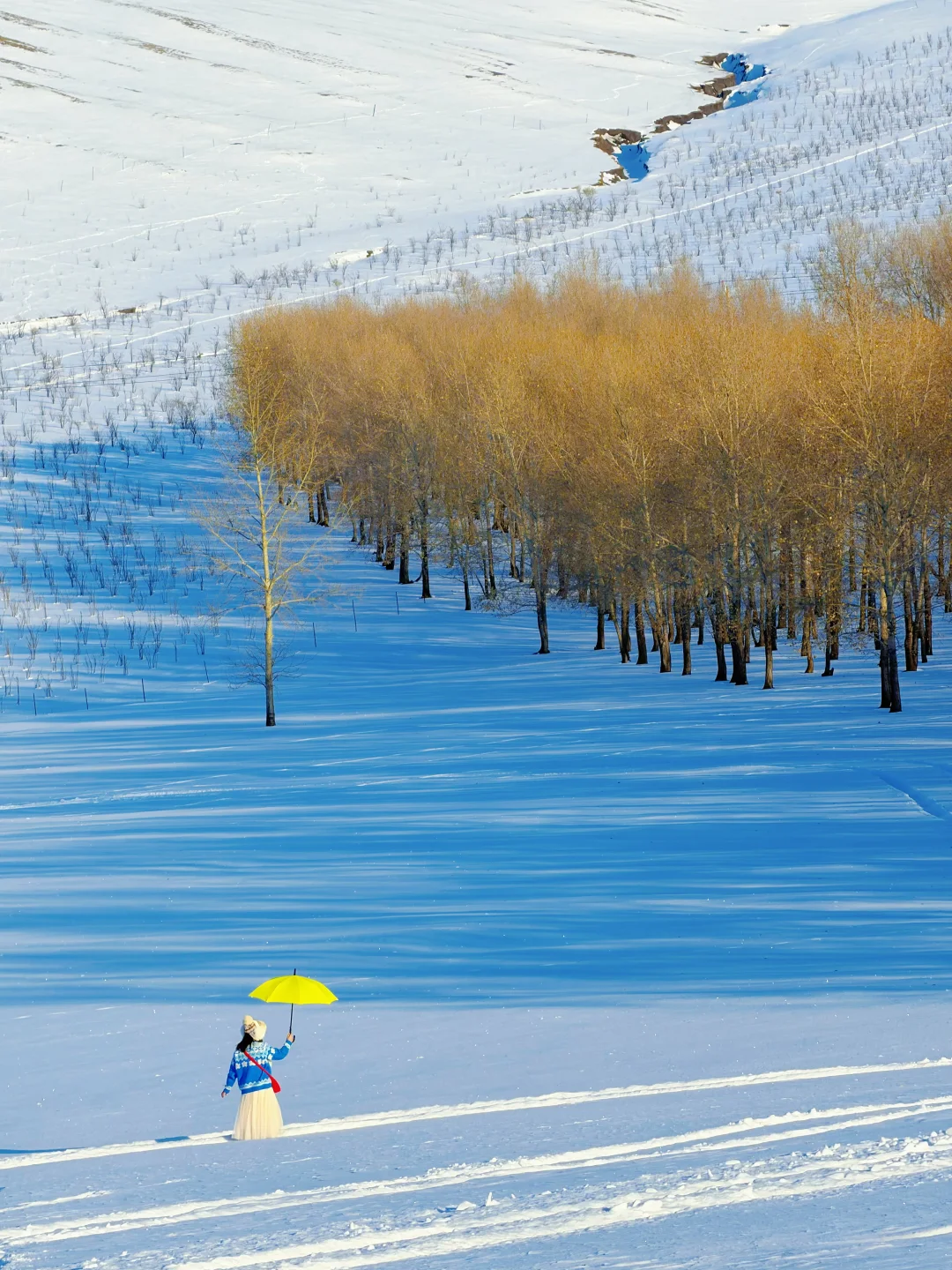 迄今为止，我巨巨巨喜欢的冰雪王国出现啦‼️