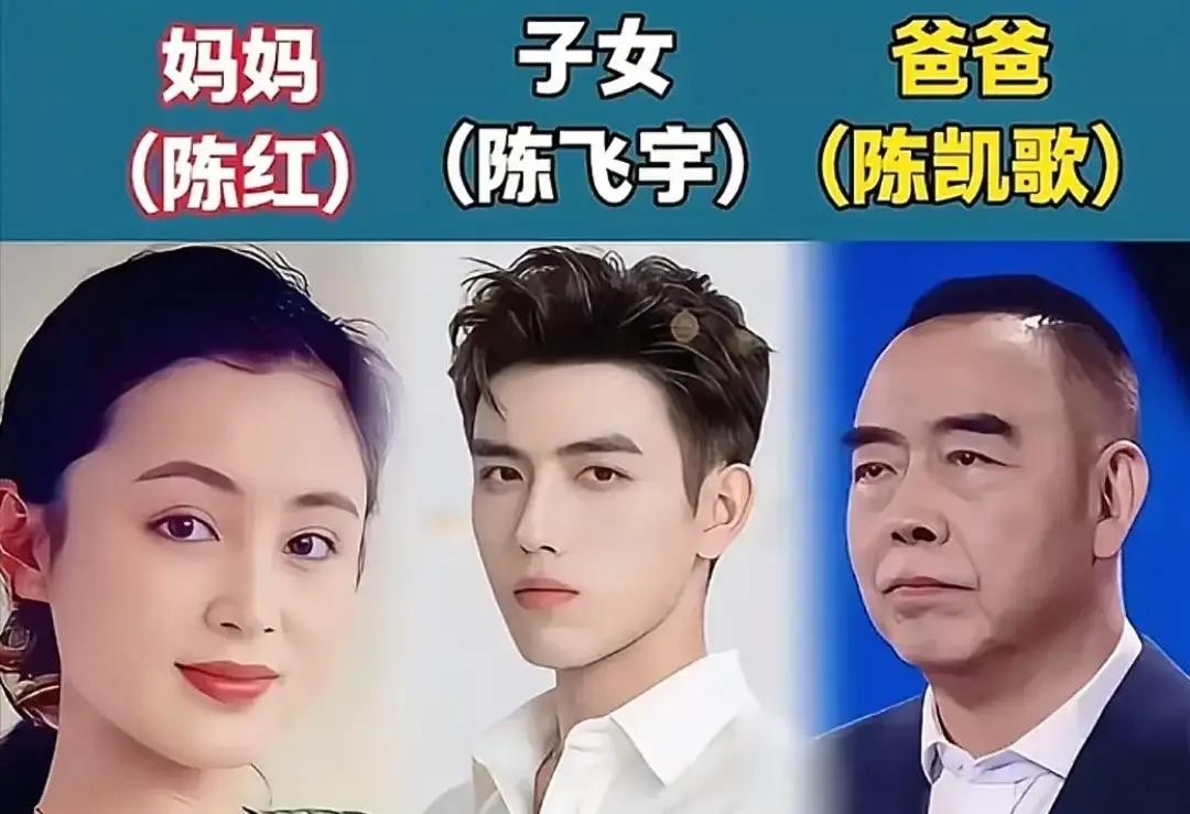 陈凯歌和陈红的公子陈飞宇频繁在各大剧组里挑大梁，张艺谋的闺女张末直接拎起导筒坐在了监视器后面，这几年你随便翻翻荧幕上的主创名单，就会发现如今这影视圈真是个讲究传承的地方

爹妈打下的江山，子女顺理成章地接过了饭碗

陈宝国和赵奎娥这两位公认的神级老戏骨，儿子陈奕丞现在也开始在各大剧集里摸爬滚打

演