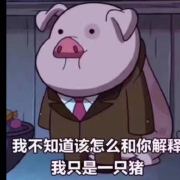带小猪猪的活猪猪