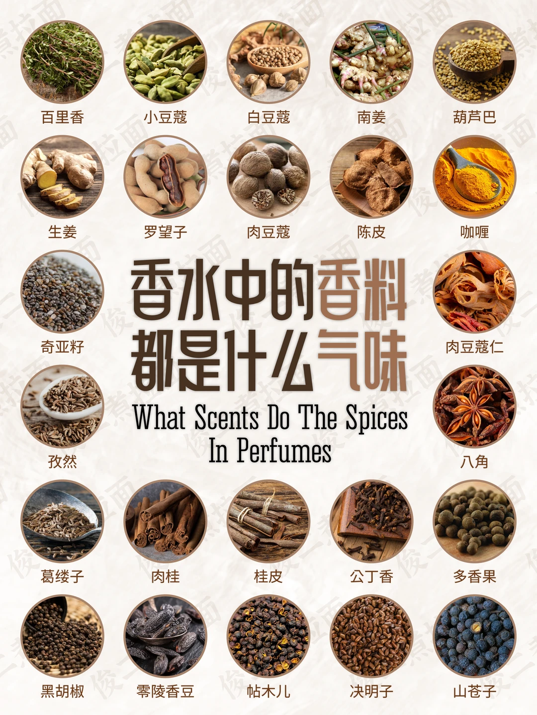 香水中的香料都是什么气味（辛香料篇）