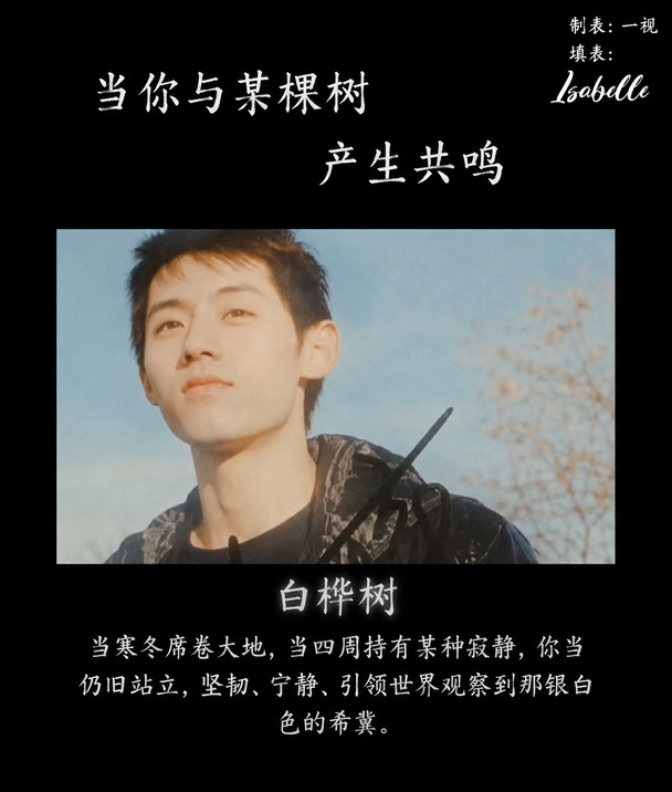 🏓| 当你与某棵树共鸣……