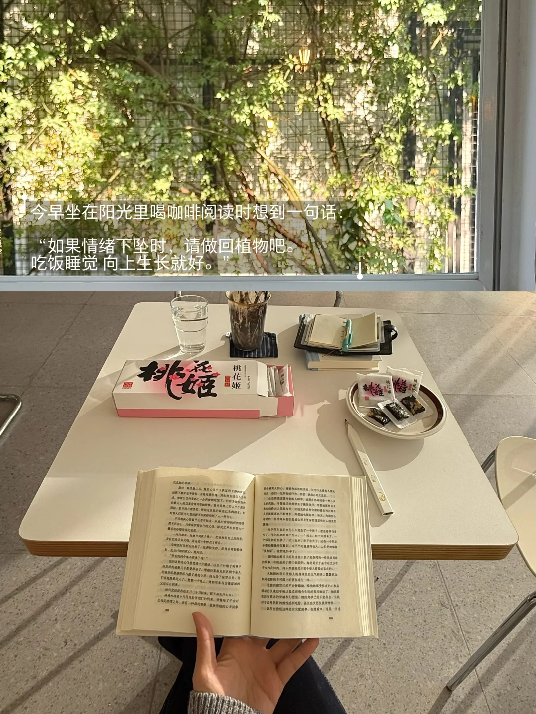 会养自己的人做什么都很顺。