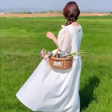 舒禾