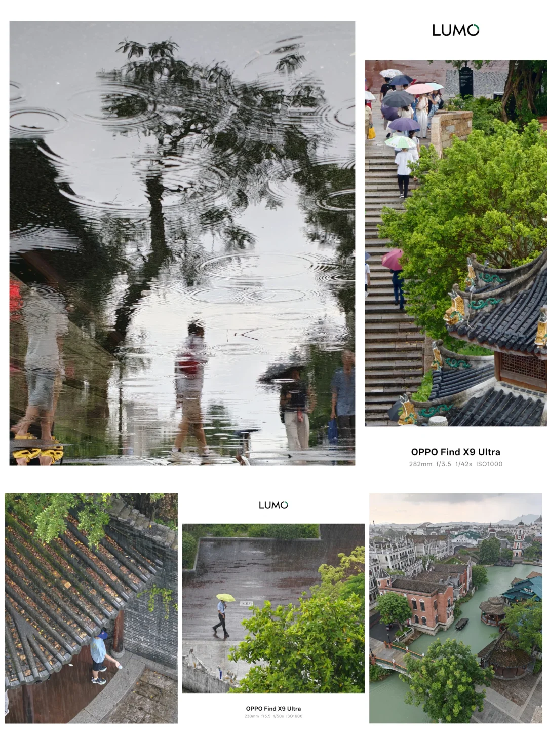 雨中即景