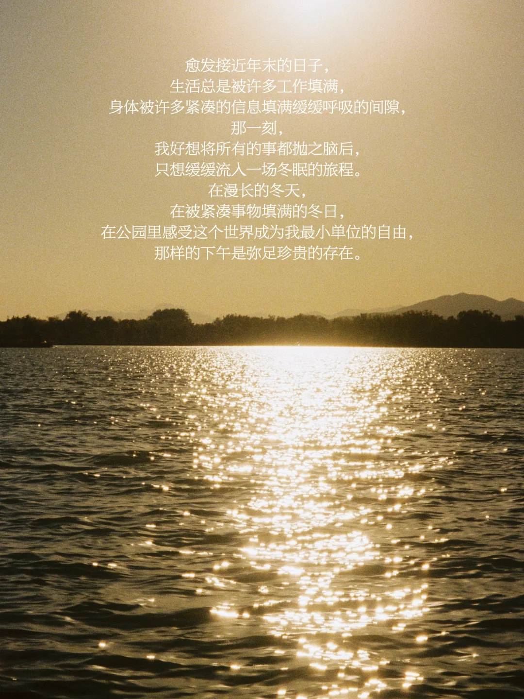 冬天 我在追寻让我「感到平静和温热」的事物