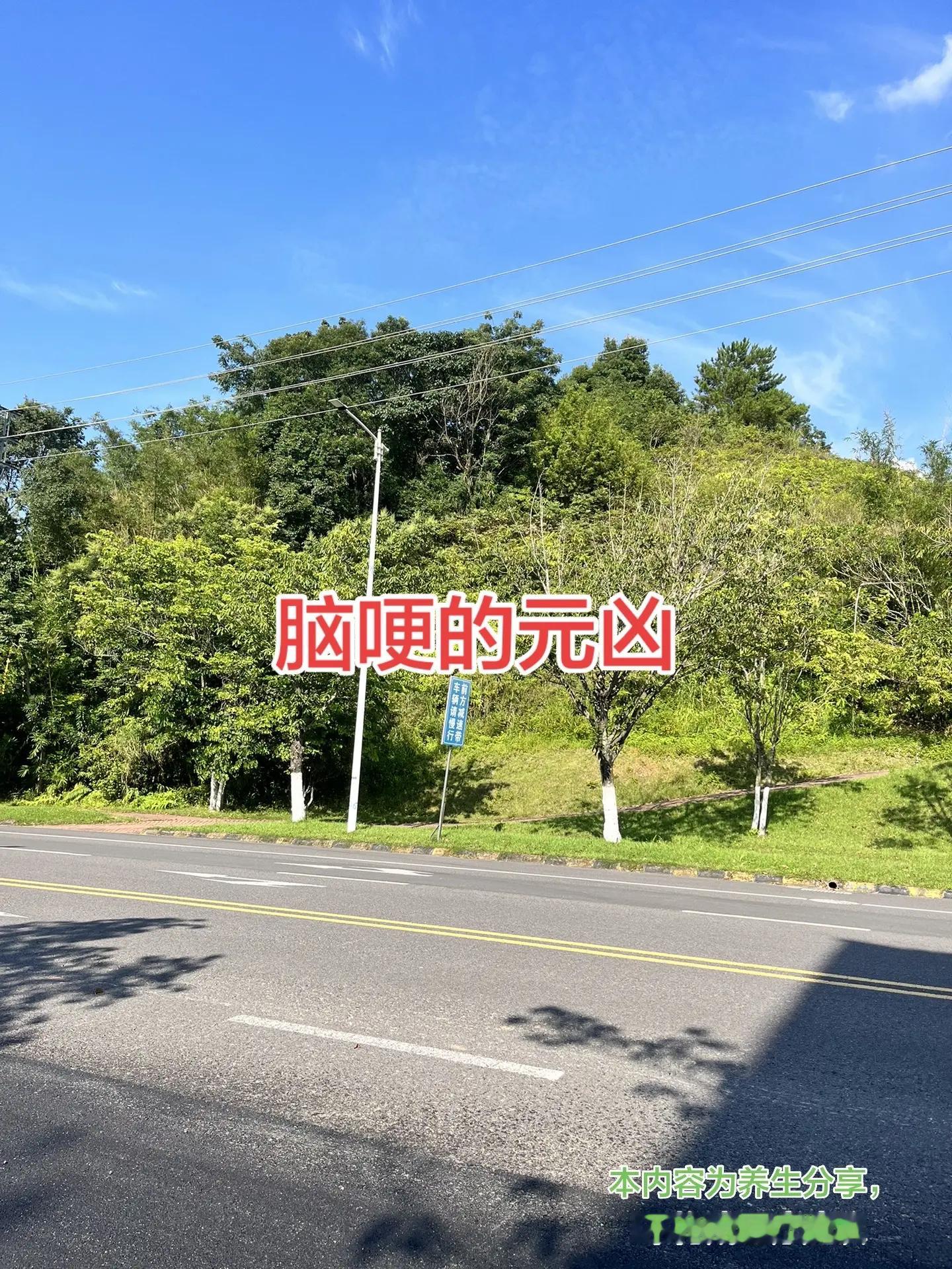 第二届