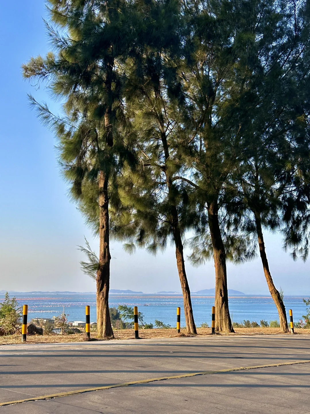 适合打工人的周末出逃计划！汕头南澳岛🏖️