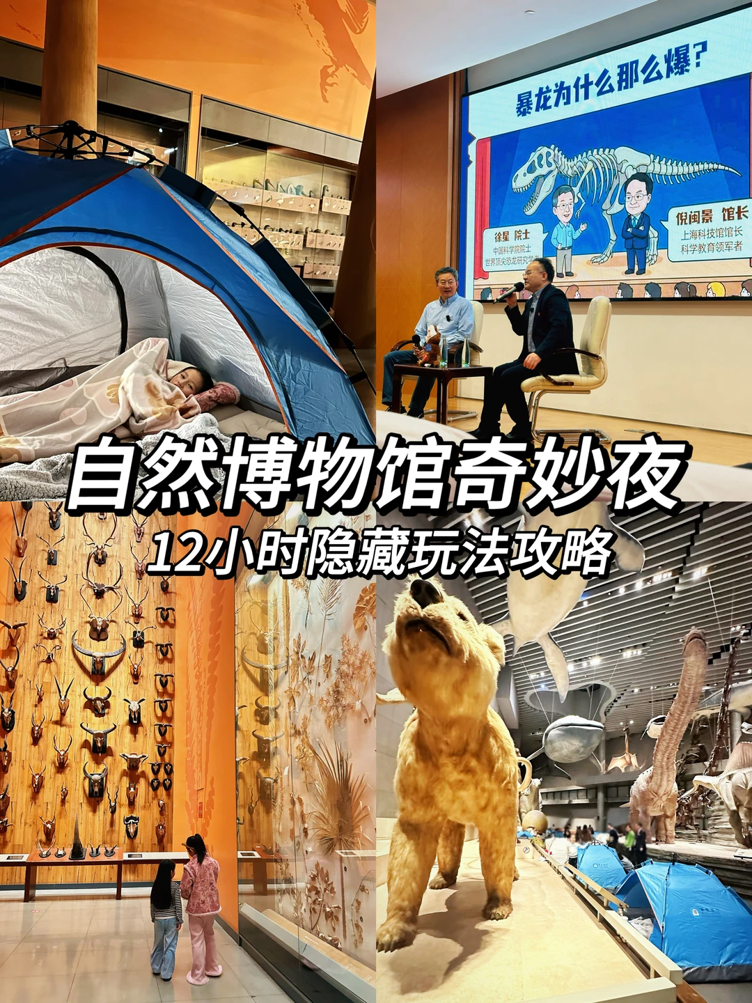 自然博物馆奇妙夜⛺️（12小时隐藏玩法攻略）🦖
